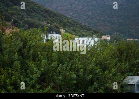 Modern white residential houses partially hidden behind dense Mediterranean vegetation. Contemporary living integrated into the wild environment. Stock Photo