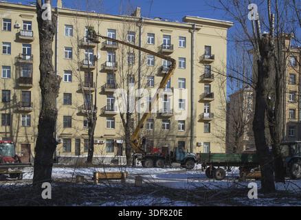 St. Petersburg, Russia, 5 March 2018, gardener cuts off a chainsaw branch old high trees in the city Stock Photo