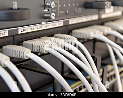 Patch Panel server rack with gray cords Stock Photo