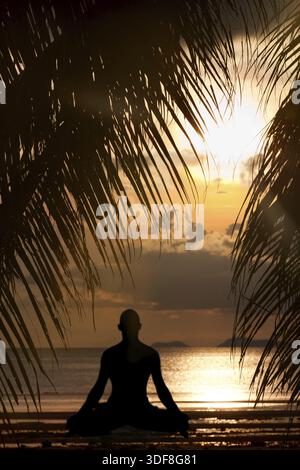 Man silhouette doing yoga exercise at sunset beach Stock Photo