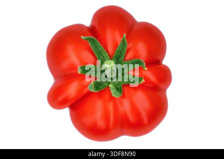 top view of ribbed ripe beefsteak tomato isolated on white background, single fresh wrinkled tomato variety Stock Photo