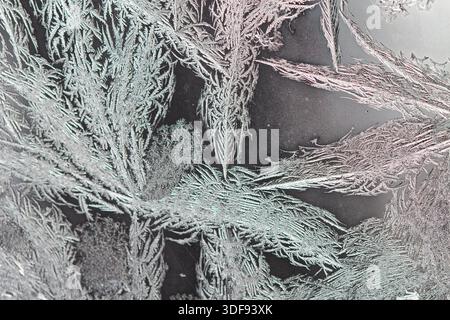 Window frost, caused by vapour condensing on cold glass, forming frost patterns Stock Photo