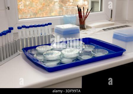 Microbiology laboratory equipment on a white table. Petri dishes with membrane filter, centrifuge tubes on a rack, brushes, pipette tips in a holder Stock Photo