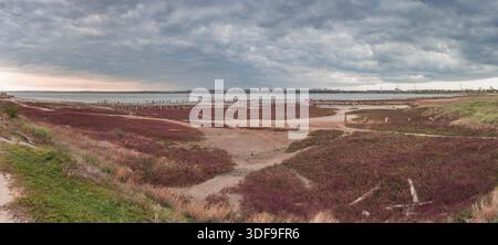 Storm clouds over the Kuyalnik Salty drying estuary in Odessa, Ukraine Stock Photo