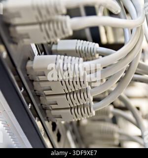 Patch Panel server rack with gray cords Stock Photo