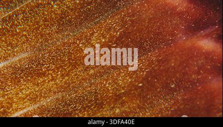 Shimmering flow defocused golden particles light Stock Photo