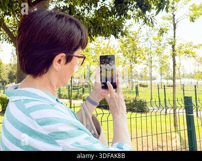 Woman taking a photo outdoors with a smartphone in her hands. Daily life, urban leisure, and personal perspective in an open park environment. Stock Photo