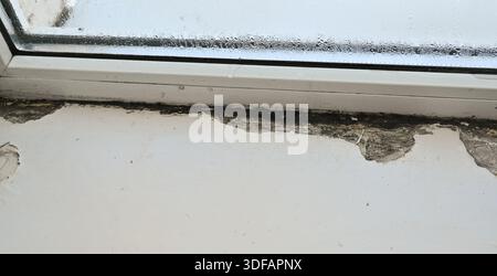 Close-up of mold growth along window sill, showing clear moisture damage and surface discoloration. Mold and dirt accumulation on windowsill, with sur Stock Photo