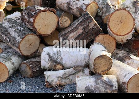 Heap with cut wooden logs, mostly birch tree. Fire wood. Stock Photo