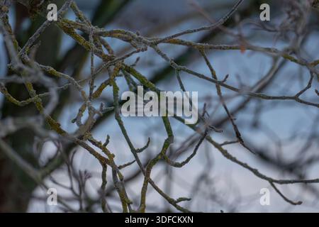 Old red brick wall texture background, close-up architectural detail. Stock Photo