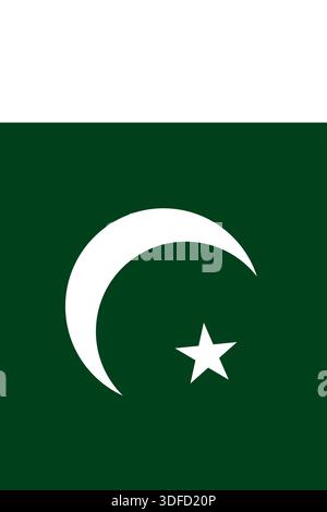Pakistan vertical flag in official colors, dimensions and aspect ratio. Vector flag symbolizing national pride, identity, heritage, patriotism and authority Stock Vector