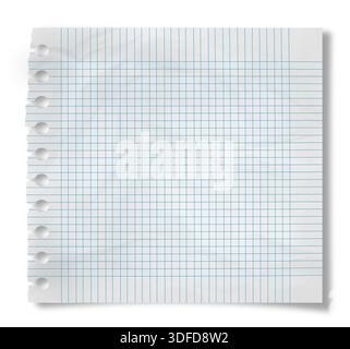 Torn piece of Grid paper isolated on white Stock Photo