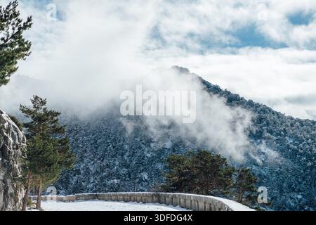 Curved snowy path with misty mountain and pine trees in winter Stock Photo