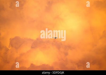 Bird Silhouette in Golden Hour Clouds Stock Photo