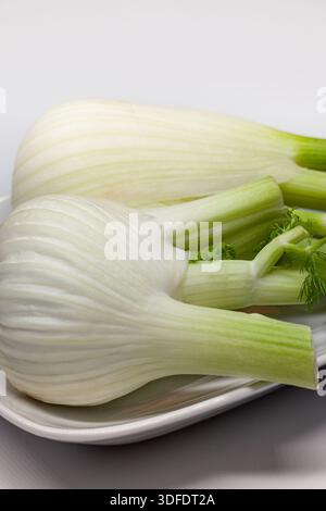 Two fennel bulbs in a small white dish Stock Photo