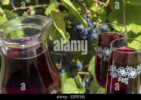 Glass jug with red wine and wine glass on the table. Wine in a carafe with ripe grapes of a vineyard on background Stock Photo