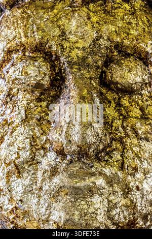 Face of Buddha gilded of petals, close up view. Golden foil on Buddha statue Stock Photo