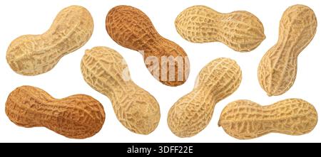 Whole roasted peanuts in shells isolated on white background, collection, full depth of field Stock Photo