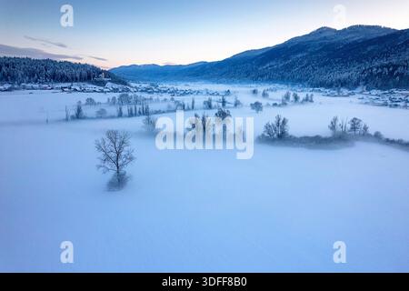 Spectacular mist rising  on a cold snowy winter morning in Dolenjska region in Slovenia, winter frozen landscape and lone tree, Novo mesto Stock Photo