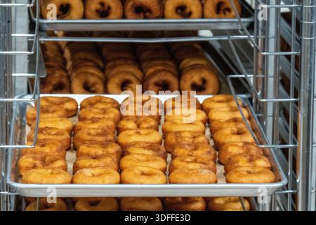 Freshly baked donuts arranged in neat rows on metal trays inside a warm commercial kitchen. Stock Photo