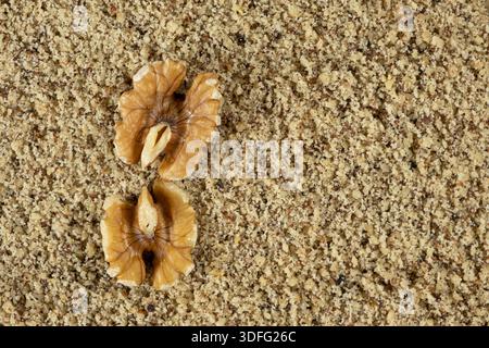Two walnut halves on ground walnut kernels background top view place for text. Stock Photo