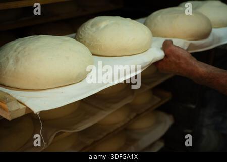 Baker placing fresh bread dough on proofing racks inside a traditional bakery, preparing loaves for baking and emphasizing artisanal food production a Stock Photo