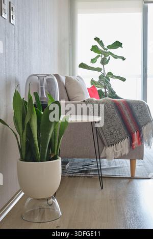 Cozy living room featuring a sofa, houseplant, and modern decor receiving natural light Stock Photo