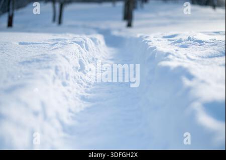 Snow-covered path with soft blurred background. Minimal winter scene, cold season texture, clean background with copy space Stock Photo