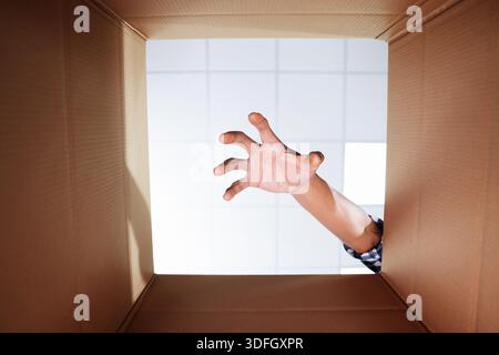 Man reaching into cardboard box, closeup. View from inside package Stock Photo