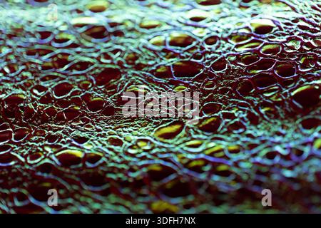 Crocodile faux leather.luminous leather texture.Animalistic wallpaper in holographic colors.Iridescent Crocodile Skin.Metallic shiny crocodile leather Stock Photo