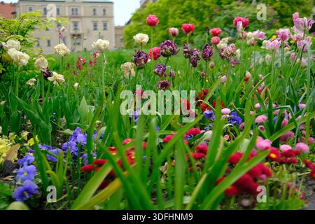 Fruits, vegetable and flowers. Stock Photo