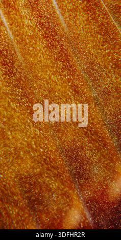 Glitter stream blur sparkling glare art mix lens Stock Photo