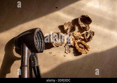 A vintage nutcracker beside broken walnut shells on a textured surface Stock Photo