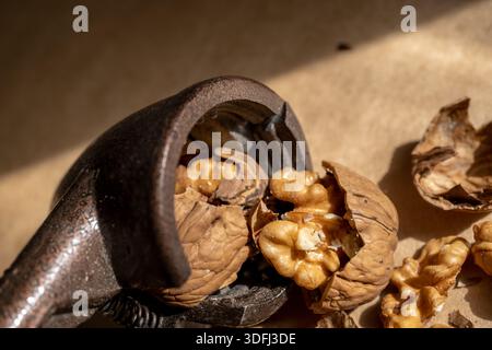A close-up of a nutcracker with cracked walnuts and shells on a textured surface Stock Photo