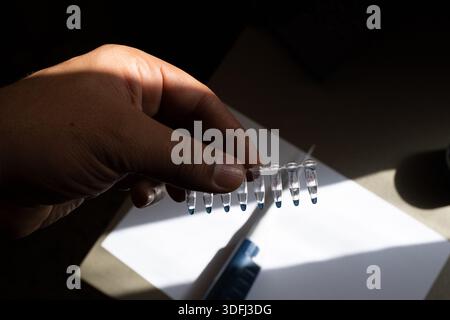 A hand holding a strip of small transparent vials with blue liquid, sunlight casting shadows on a white surface Stock Photo