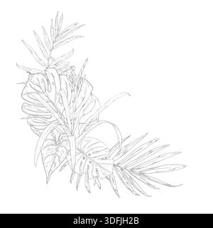 Palm leaves and monstera, Guzmania flower on a corner composition, sketch. Vector illustration. Tropical tree leaves isolated on white background. Lus Stock Vector