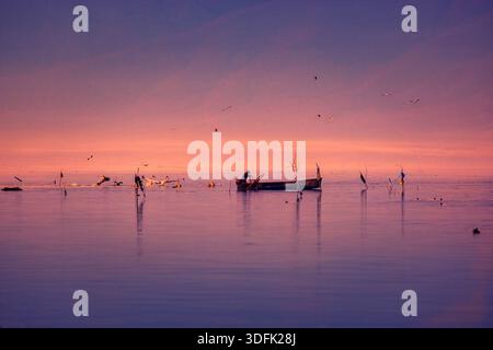 Kerkini, Northern Greece — A fisherman rows through calm, glowing waters as birds gather around him in a serene sunrise scene Stock Photo