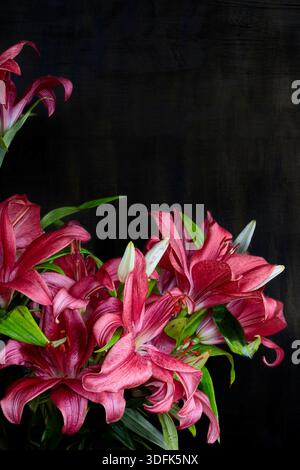 Elegant red lily flowers arrangement isolated on black background. High contrast floral vertical composition with copy space. Stock Photo