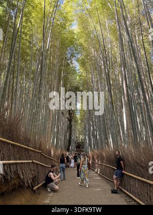 Tourists walking through Arashiyama Bamboo Forest in Kyoto city, Japan. Stock Photo