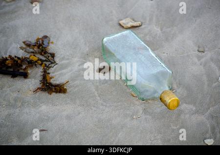 Discarded glass bottle lying on wet sand surface symbolizing urban litter pollution and careless waste disposal Stock Photo