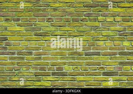 Old yellow brick wall. Abstract interior background. Stock Photo