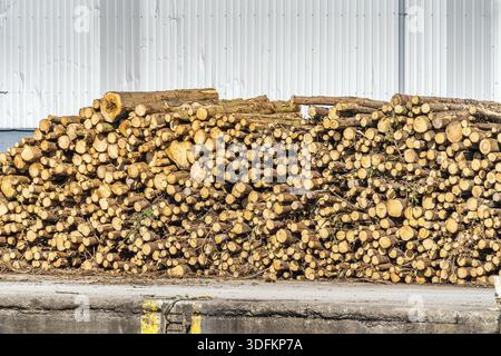 Stack of firewood ad wood logs waiting to be loaded on cargo ship for export in Wicklow commercial port, Ireland Stock Photo