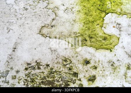 Green moss and rust on metal surface with patterns and cracks. High quality texture and background for your projects and creative work Stock Photo