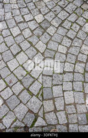 Cobblestone pavement with irregular grey stone blocks and moss, creating a classic urban street texture Stock Photo