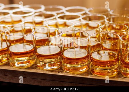 A series of small whiskey glasses filled with amber liquid are neatly arranged in rows on a table. Stock Photo