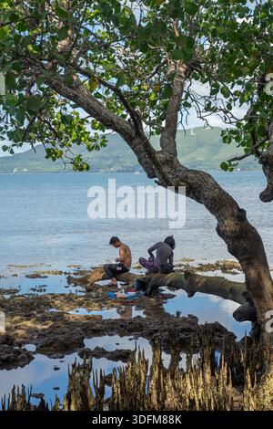 Filipino couple working under mangrove tree, sitting on its roots, Bohol, Philippines Stock Photo