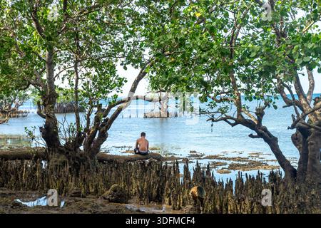 Man sitting on the root of mangrove tree on the shore near Tagbilaran, Bohol, Philippines Stock Photo