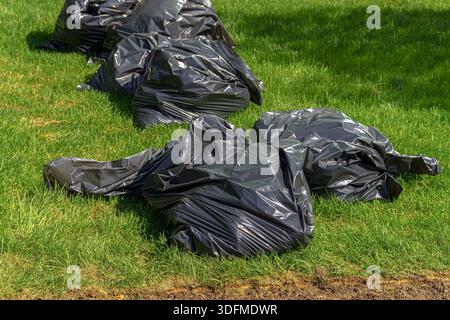 A row of black plastic bags are on the grass. The bags are on the ground and are not tied down. Stock Photo