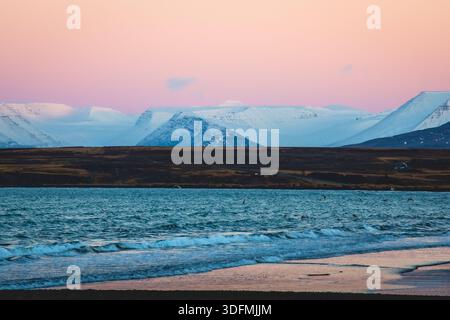 View of a tranquil blue ocean meeting a dark sandy beach beneath a horizon of earthy tones and snow-capped mountains under a pastel sky, Saudarkrokur, Stock Photo
