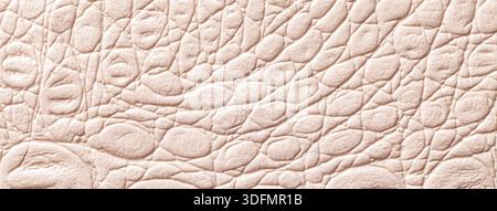 Light beige and cream leather texture background. Embossed crocodile skin textile surface macro. Stock Photo